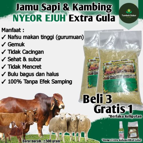 JAMU SAPI NYEOR EJUH EXTRA GULA PENGGEMUK SAPI JAMU NYEOR EJUH JAMU PENGGEMUK SAPI VITAMIN KAMBING