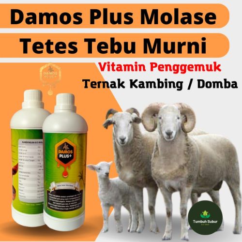 Nutrisi-Penggemuk-Hewan-Ternak-Damos-Plus-Nutrisi-Pakan-Ternak-Dan-Perikanan-vitamin-penggemuk-kambing-Solusi-Tepat-obat-penggemuk-kambing-dan-nafsu-makan-Vitamin-dan-penggemuk-hewan-ternak-100-Molase-tetes-tebu-murni-terbaik