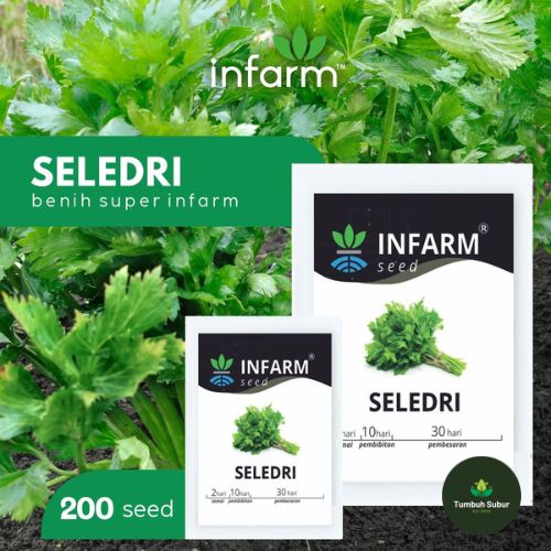 INFARM - Benih Bibit Biji Super Daun Seledri