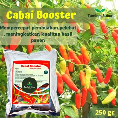 Pupuk Organik Cabe Booster Pelebat Cabai Serbuk Terbaik Agar Cepat Berbuah lebat dan besar perangsang dan penyubur tanaman